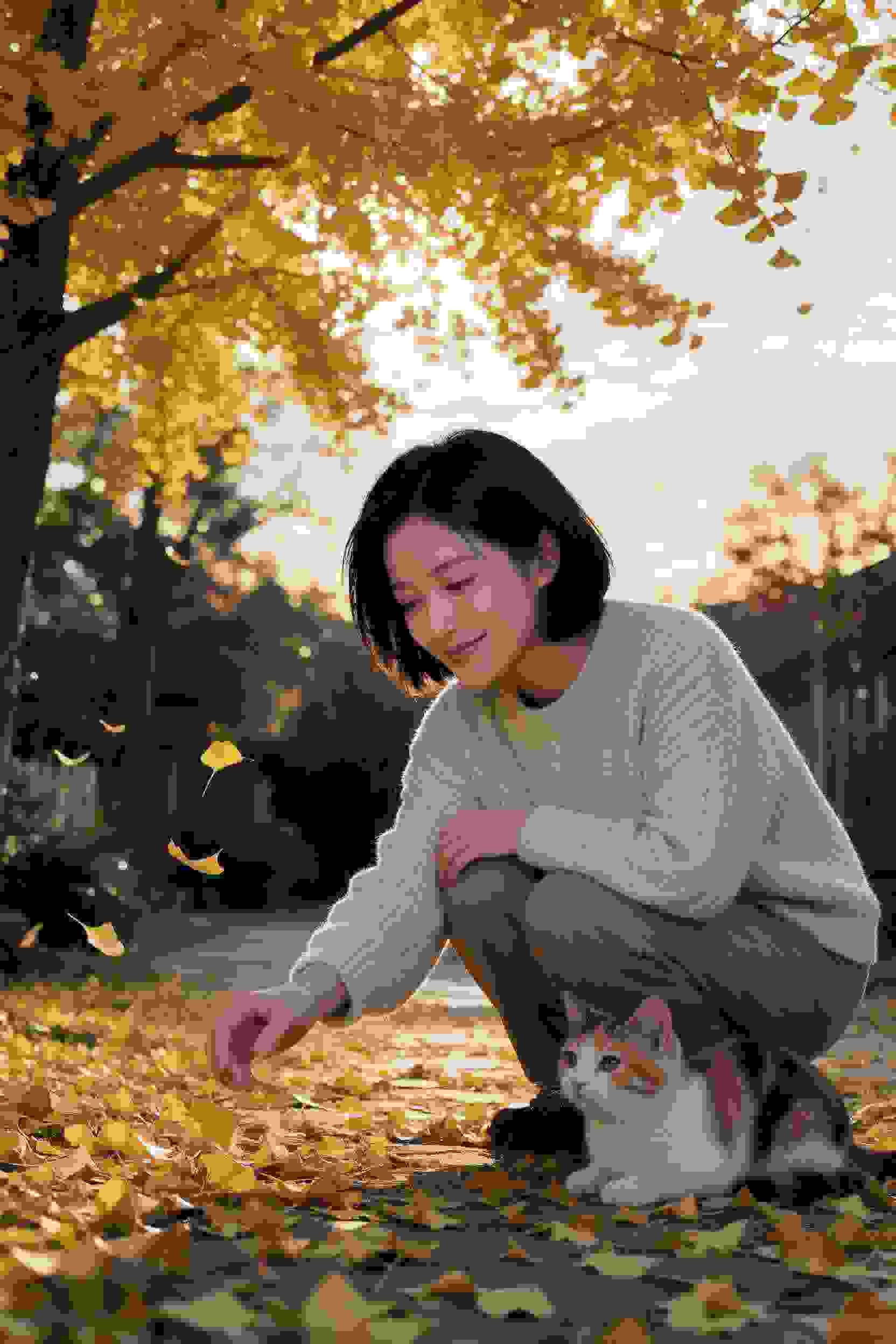 作品33
